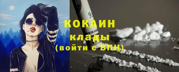 ешки Алексин