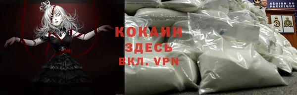 ешки Алексин